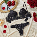 French Embroidered Lace Lingerie Set – Deep V Push-Up Bra & Sheer Panty, Underwire Support