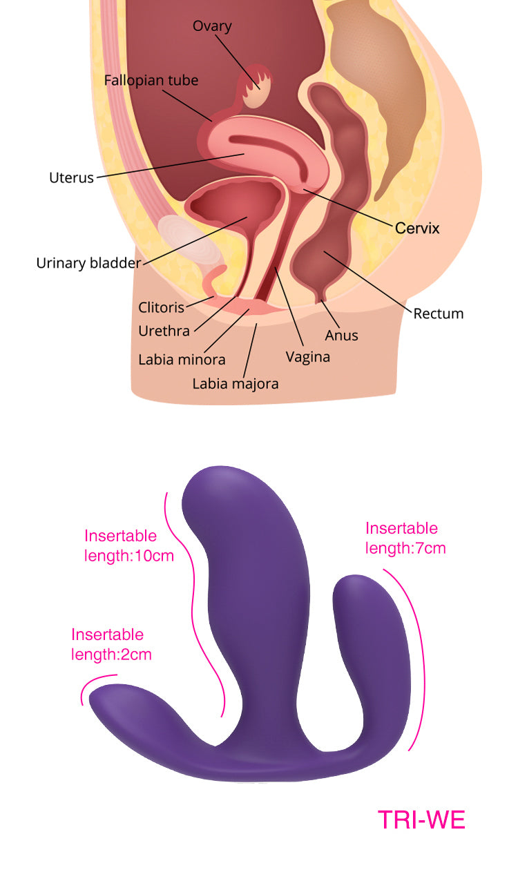 Remote Control Prostate & G-Spot Vibrator – Triple Stimulation, 7 Modes, Ultra-Quiet & Waterproof